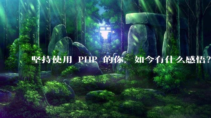 坚持使用 PHP 的你，如今有什么感悟？