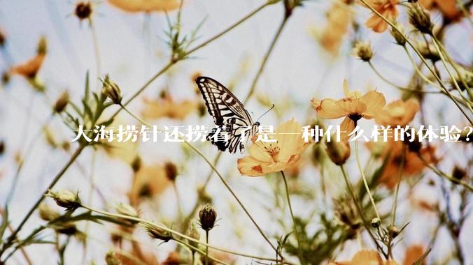 大海捞针还捞着了是一种什么样的体验？