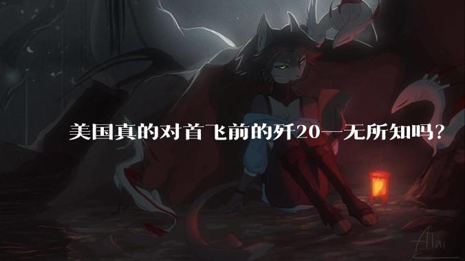 美国真的对首飞前的歼20一无所知吗？