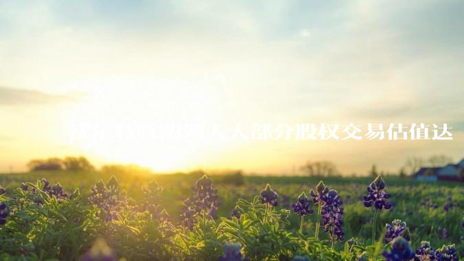 沃尔特收购湖人大部分股权交易估值达 100 亿美元，创职业体育队最高纪录，为什么湖人的商业价值这么大？