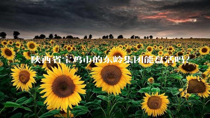 陕西省宝鸡市的东岭集团能盘活吗？