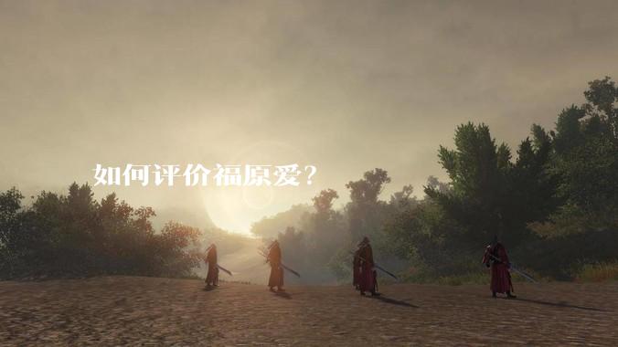 如何评价福原爱？