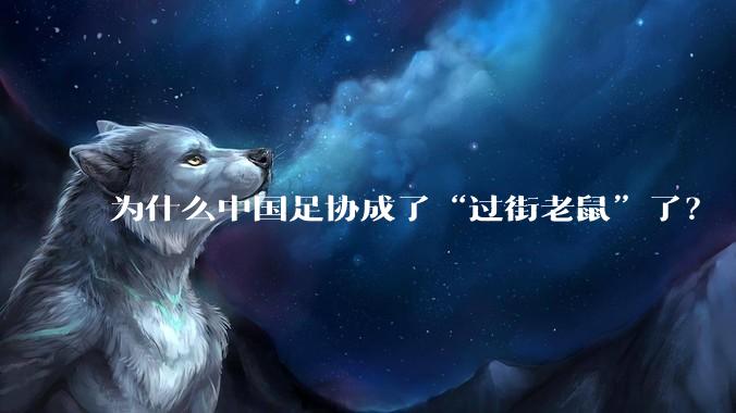为什么中国足协成了“过街老鼠”了？