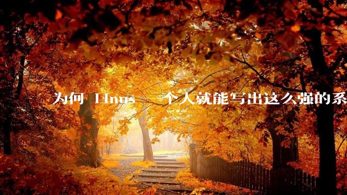 为何 Linus 一个人就能写出这么强的系统，中国却做不出来？