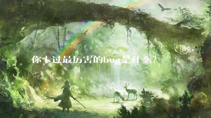 你卡过最厉害的bug是什么？