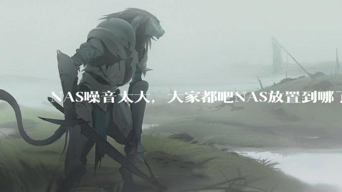 NAS噪音太大，大家都吧NAS放置到哪了？