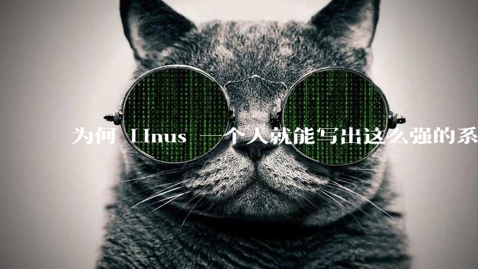 为何 Linus 一个人就能写出这么强的系统，中国却做不出来？