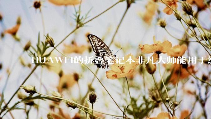 HUAWEI的折叠笔记本非凡大师能用于编程吗?