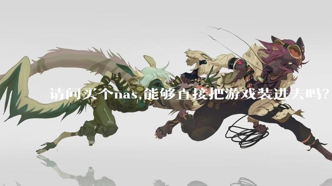 请问买个nas,能够直接把游戏装进去吗？