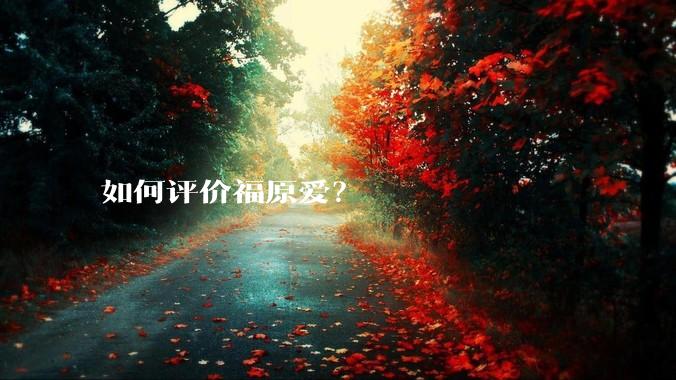 如何评价福原爱？