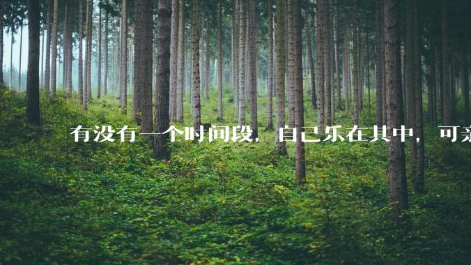 有没有一个时间段，自己乐在其中，可亲人或者朋友却觉得你很辛苦，很心疼你?