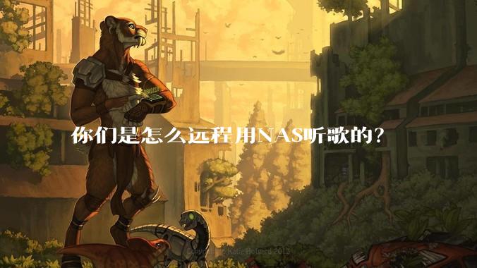 你们是怎么远程用NAS听歌的？