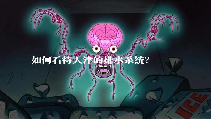 如何看待天津的排水系统？