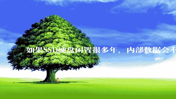 如果SSD硬盘闲置很多年，内部数据会不会丢失？