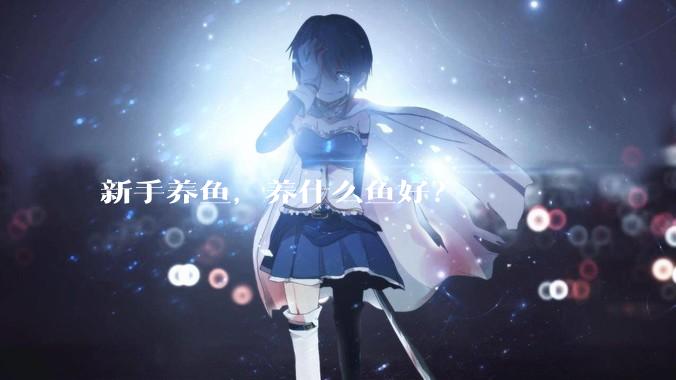 新手养鱼，养什么鱼好？