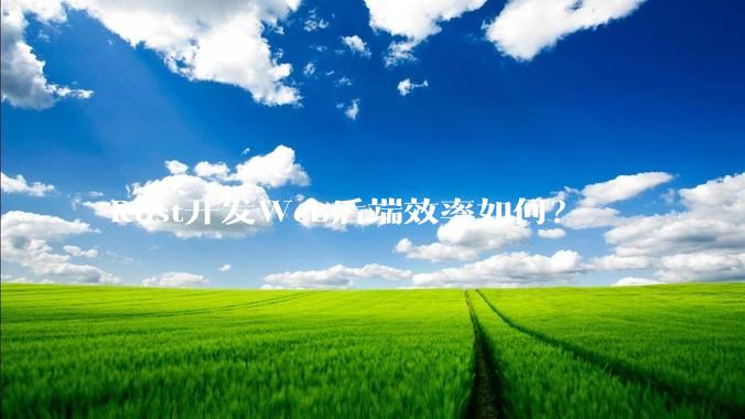 Rust开发Web后端效率如何？