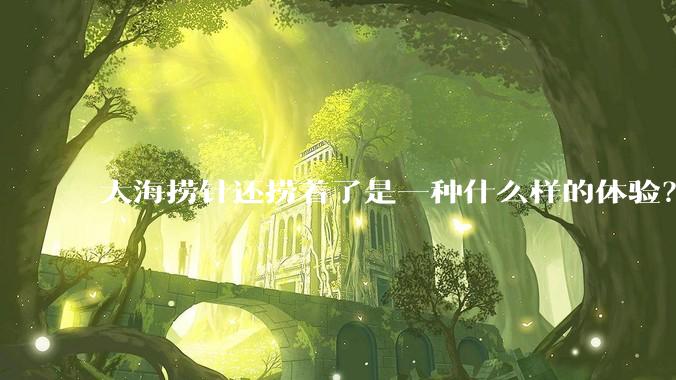 大海捞针还捞着了是一种什么样的体验？