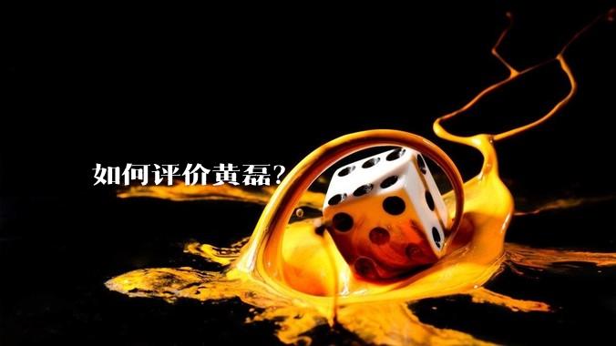 如何评价黄磊？