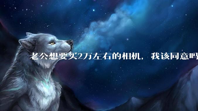 老公想要买2万左右的相机，我该同意吗？