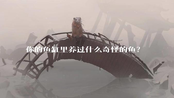 你的鱼缸里养过什么奇怪的鱼？