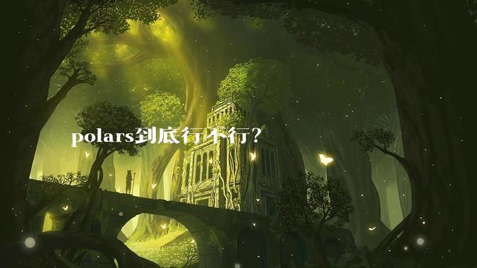 polars到底行不行？