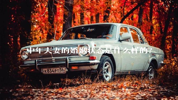 中年夫妻的婚姻状态是什么样的？
