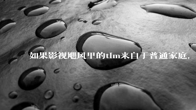 如果影视飓风里的tim来自于普通家庭，那么他还会有今天的成就吗？