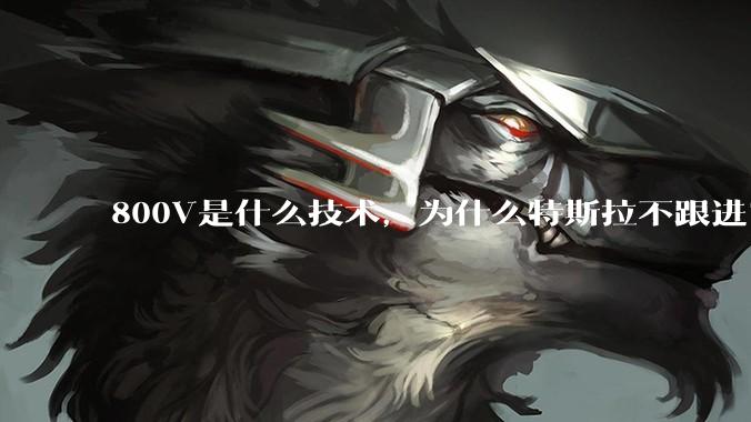 800V是什么技术，为什么特斯拉不跟进？