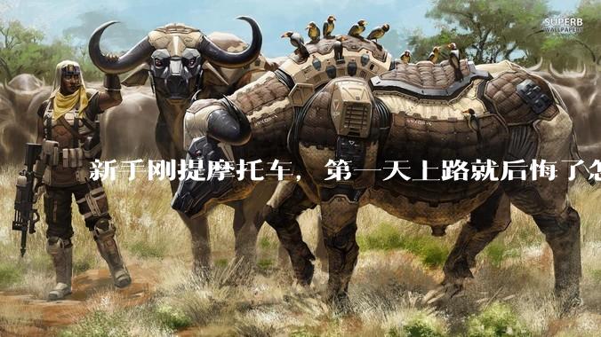新手刚提摩托车，第一天上路就后悔了怎么办？
