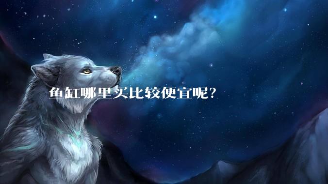 鱼缸哪里买比较便宜呢？