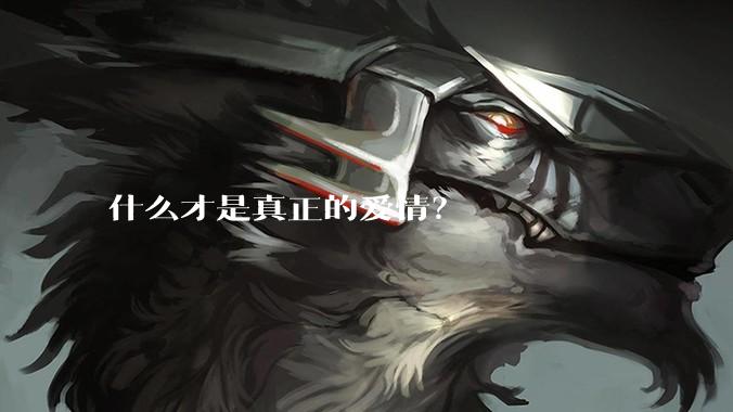 什么才是真正的爱情？