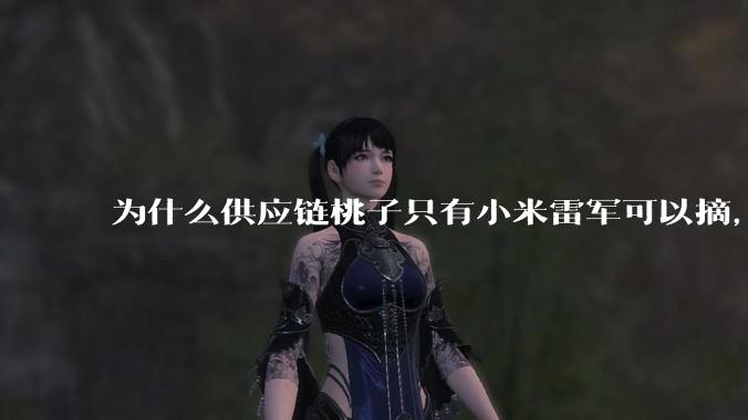 为什么供应链桃子只有小米雷军可以摘，其他人只能干瞪眼？
