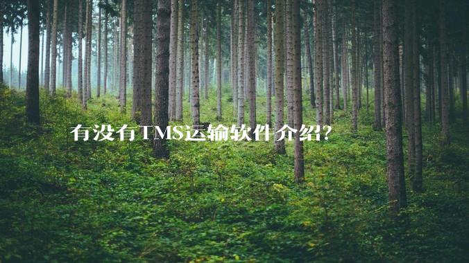 有没有TMS运输软件介绍？