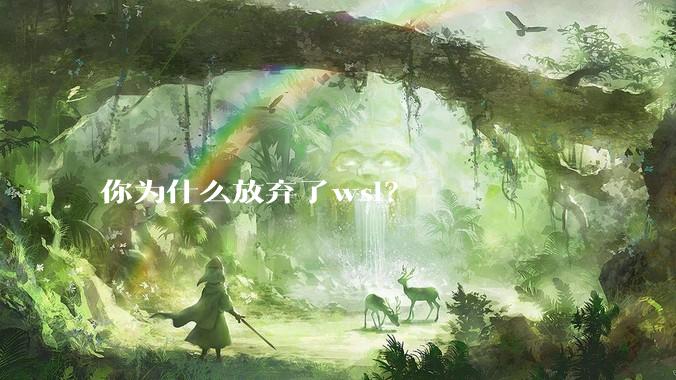 你为什么放弃了wsl？