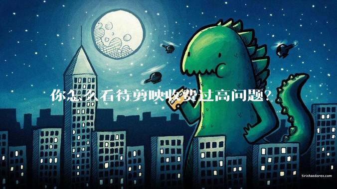 你怎么看待剪映收费过高问题？