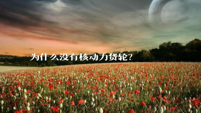为什么没有核动力货轮？