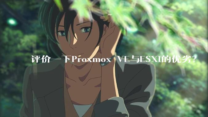 评价一下Proxmox VE与ESXi的优劣？