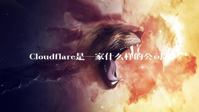 Cloudflare是一家什么样的公司？