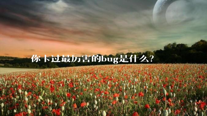 你卡过最厉害的bug是什么？