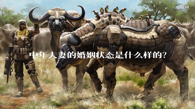 中年夫妻的婚姻状态是什么样的？