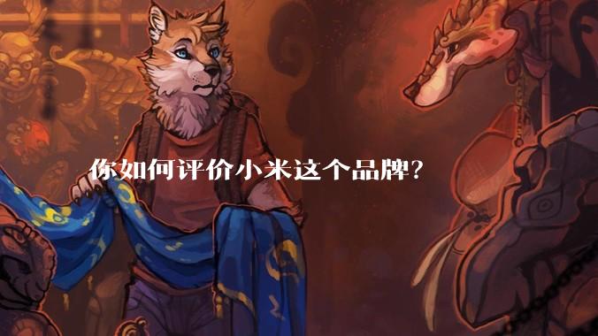 你如何评价小米这个品牌？