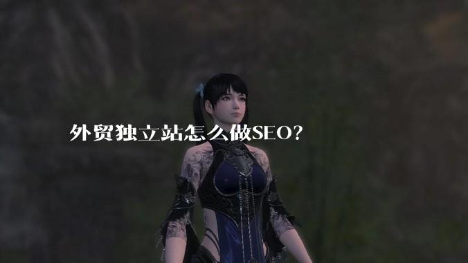 外贸独立站怎么做SEO？
