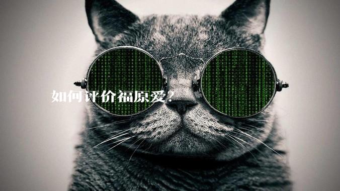 如何评价福原爱？