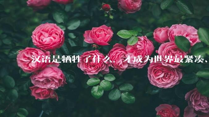汉语是牺牲了什么，才成为世界最紧凑、最高效的语言？