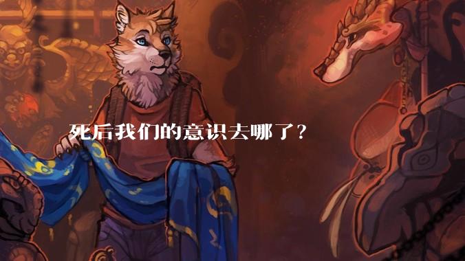 死后我们的意识去哪了？