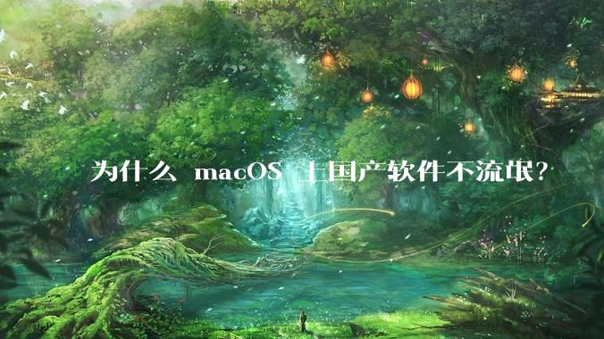 为什么 macOS 上国产软件不流氓？