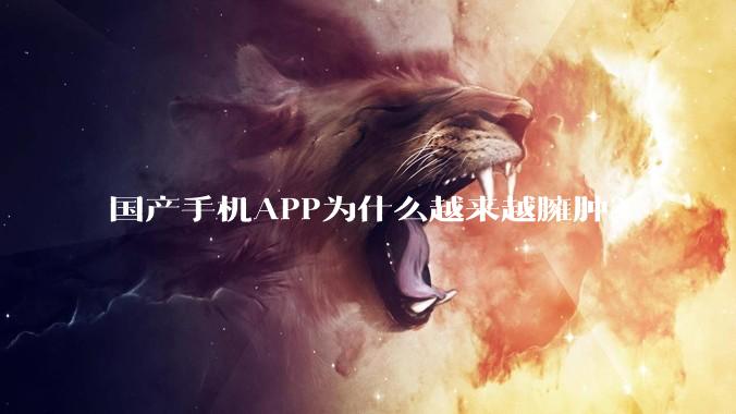 国产手机APP为什么越来越臃肿？