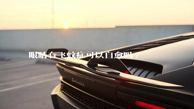 眼睛有飞蚊症可以自愈吗?