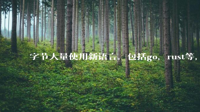 字节大量使用新语言，包括go，rust等，为什么阿里一直都抱着j***a不松手？