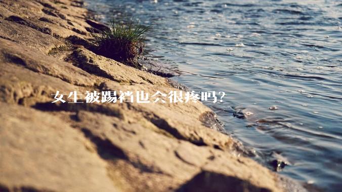 女生被踢裆也会很疼吗？